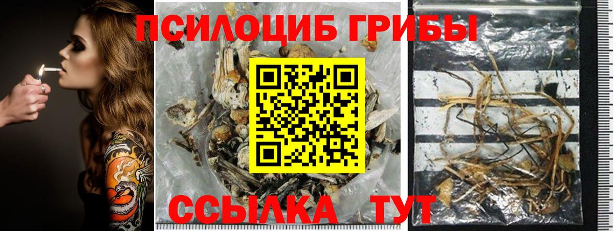 Галлюциногенные грибы GOLDEN TEACHER Бахчисарай