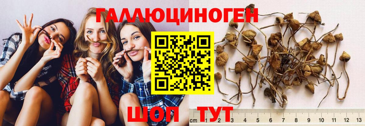 Псилоцибиновые грибы мицелий  Вход с VPN  Бахчисарай 