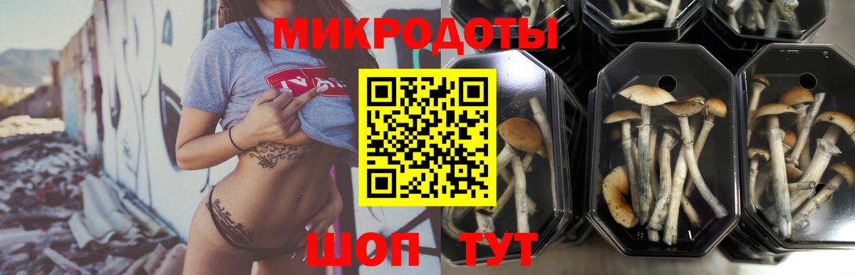 A-PVP Бахчисарай